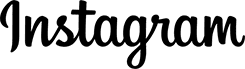 insta logo img